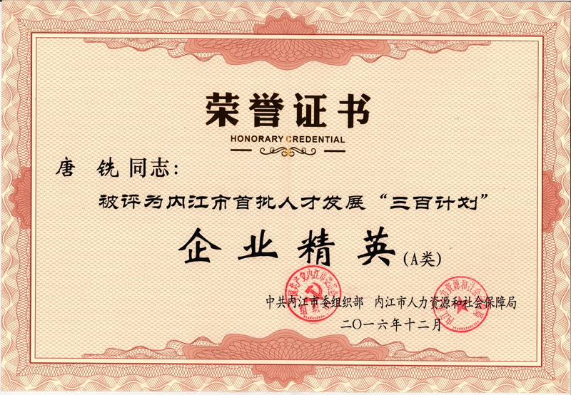 內(nèi)江市首批人才發(fā)展三百計(jì)劃.jpg 內(nèi)江市首批人才發(fā)展三百計(jì)劃.jpg