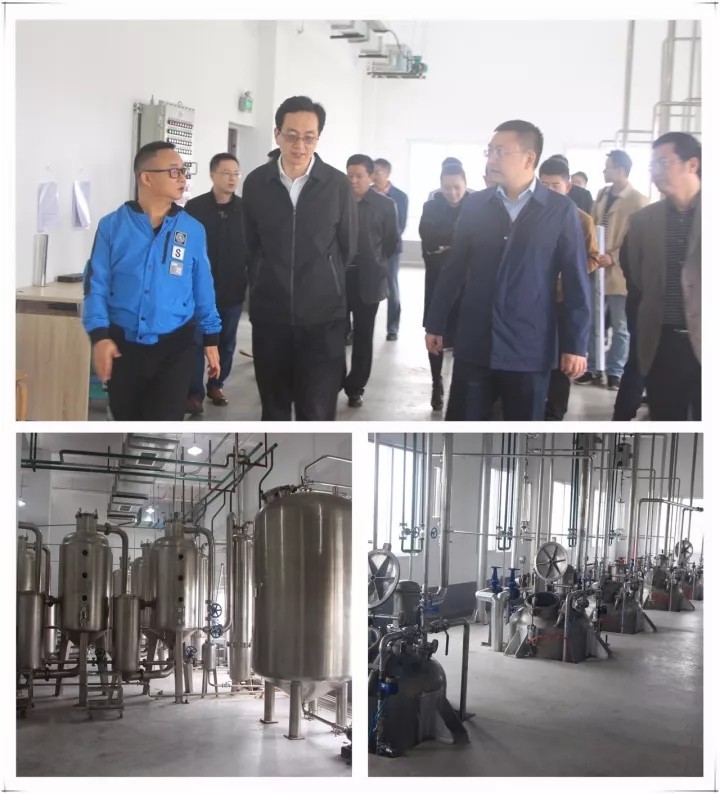 12.webp.jpg 12.webp.jpg